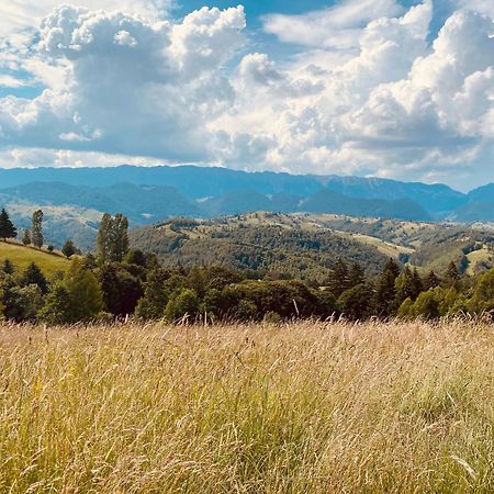 Amont Chalet Peştera Dış mekan fotoğraf