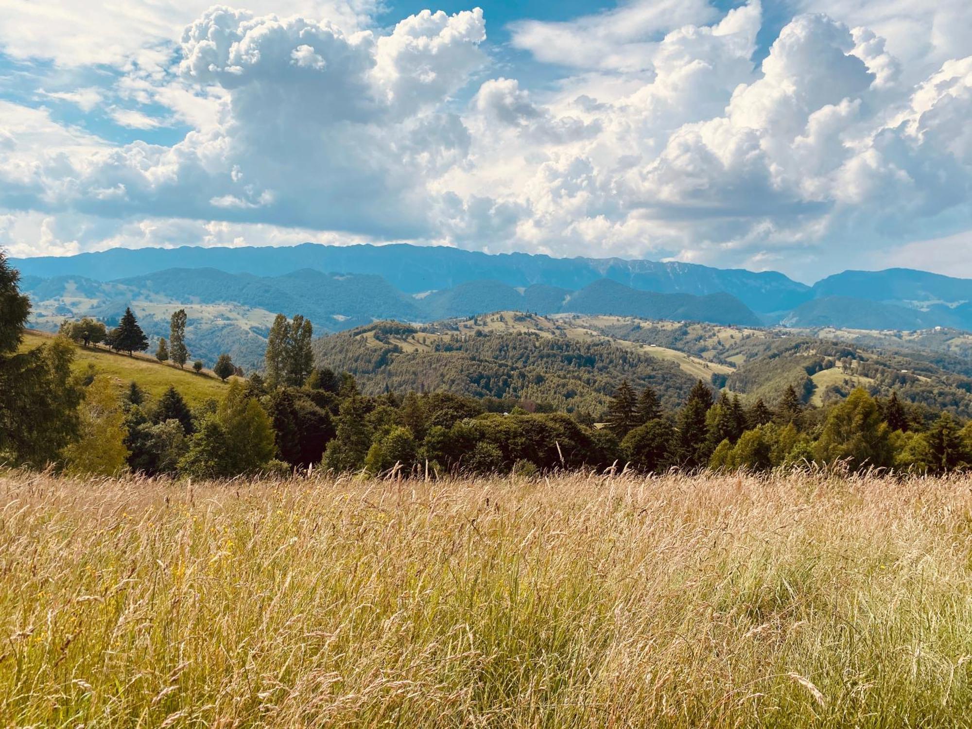 Amont Chalet Peştera Dış mekan fotoğraf