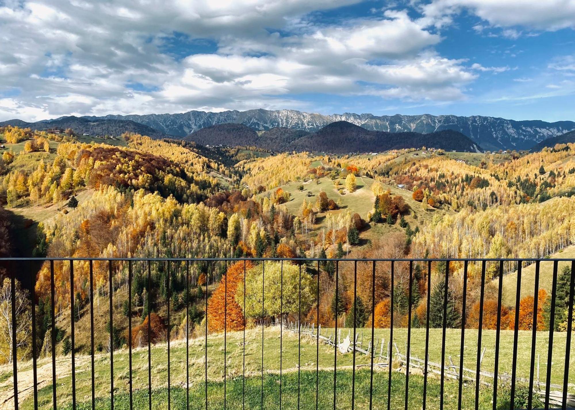 Amont Chalet Peştera Dış mekan fotoğraf