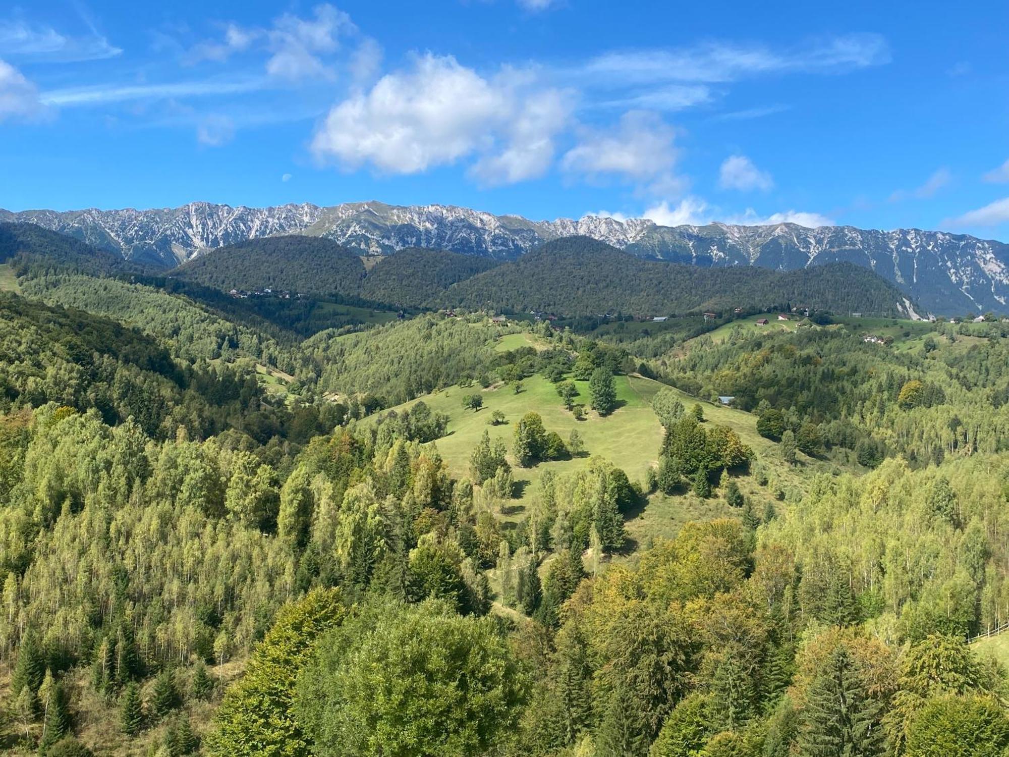 Amont Chalet Peştera Dış mekan fotoğraf
