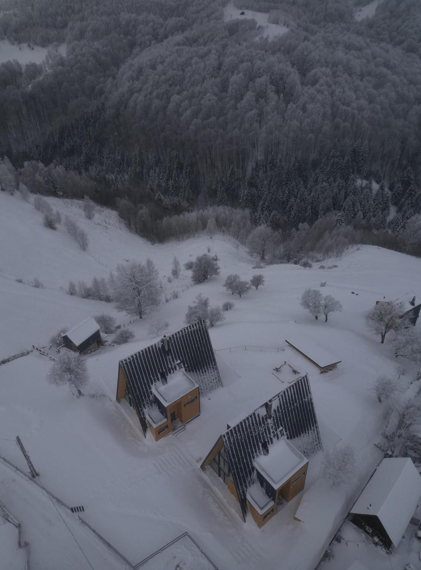 Amont Chalet Peştera Dış mekan fotoğraf